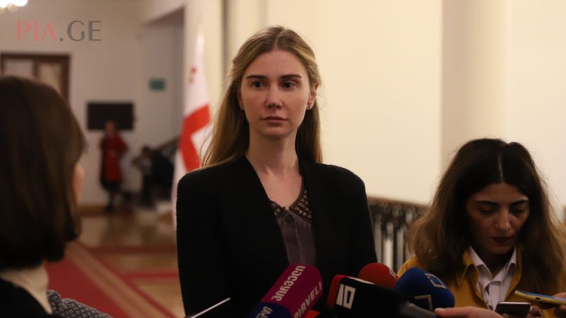 პარლამენტარი ჟურნალისტებთან 2019