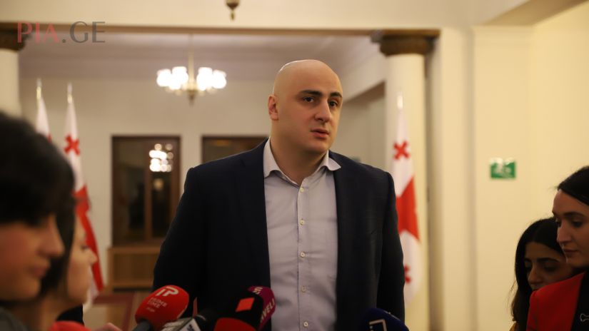 „ნაციონალური მოძრაობის“ ერთ-ერთი ლიდერი ნიკა მელია