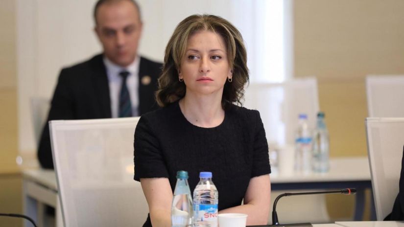 ჯანდაცვის მინისტრი შეხვედრაზე 