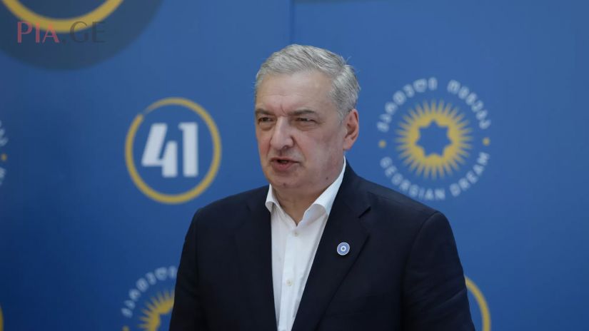 გიორგი ვოლსკი მაჟორიტარობის კანდიდატების წარდგენის ცერემონიაზე კომენტარს აკეთებს, 20 ივლისი 2020 წერი
