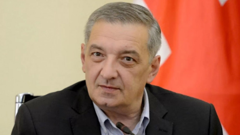 უმრავლესობის წევრი, ვიცე-სპიკერი გიორგი ვოლსკი
