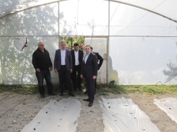 პრემიერ-მინისტრი ირაკლი ღარიბაშვილი ქვემო ნიქოზში, საოჯახო სასათბურე მეურნეობაში