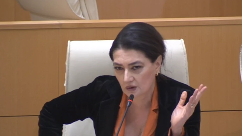 პოლიტიკოსი