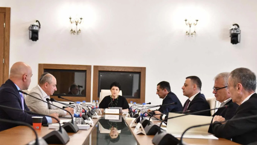 დროებითი საგამოძიებო კომისიის სხდომა