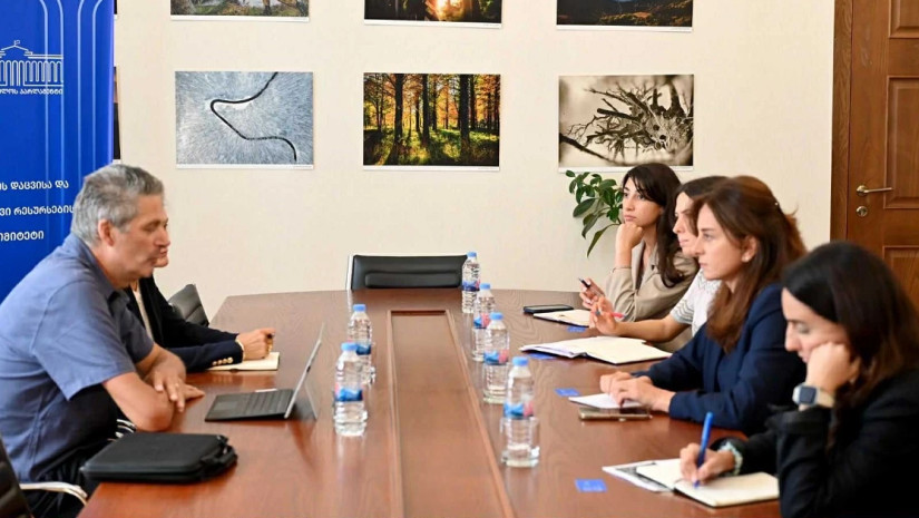 მაია ბითაძე 