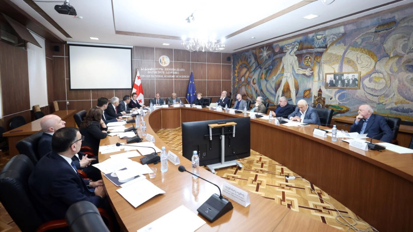 კომისიის სხდომა