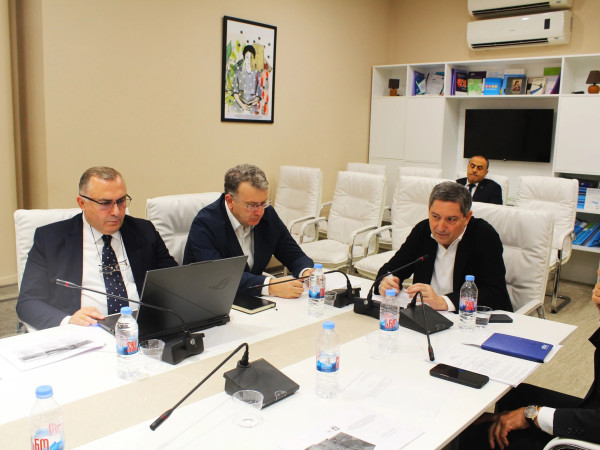 ანგარიშის წარდგენა